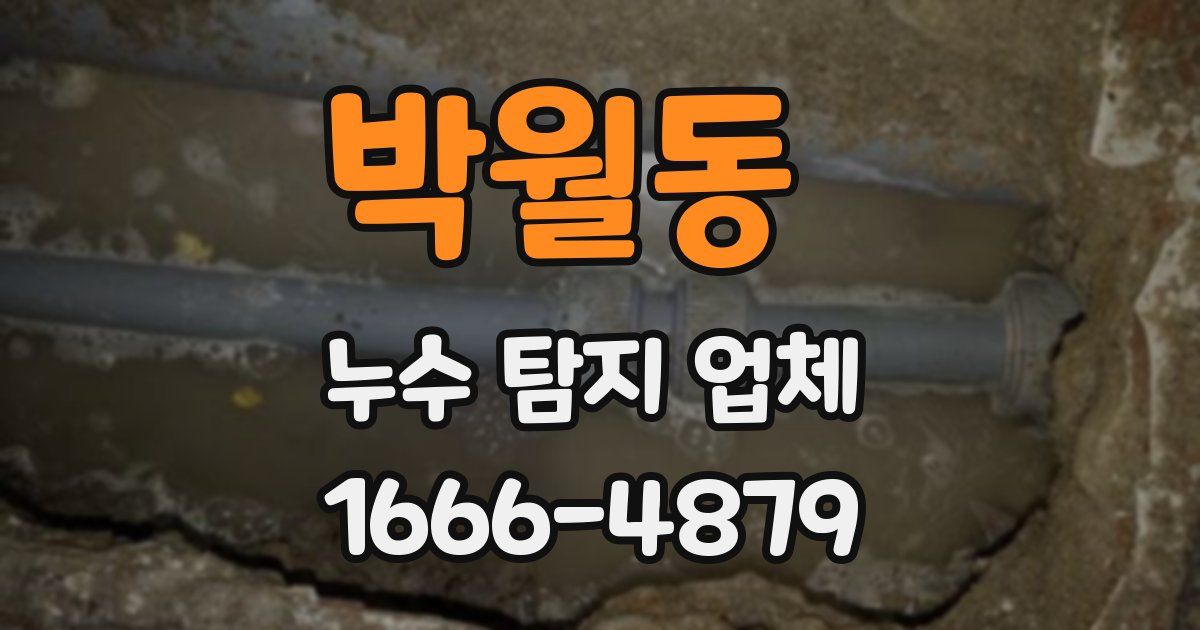 박월동 누수 탐지 업체