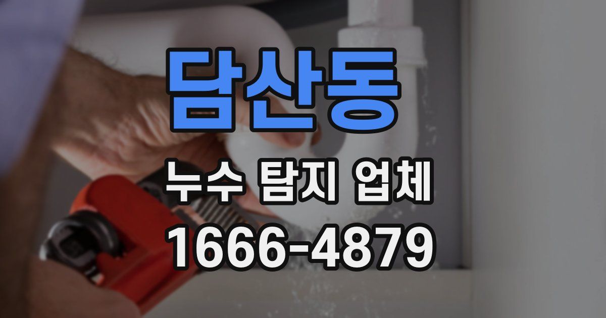 담산동 누수 탐지 업체