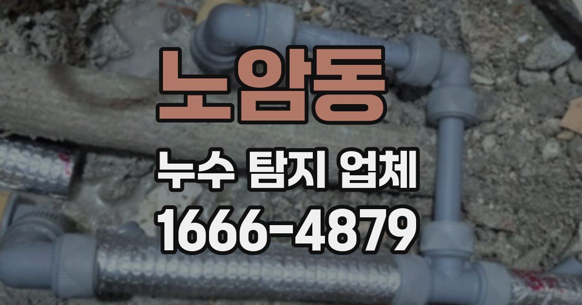 노암동 누수 탐지 업체