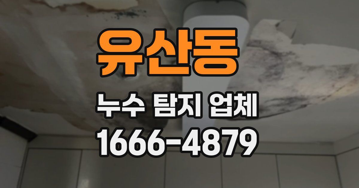 유산동 누수 탐지 업체