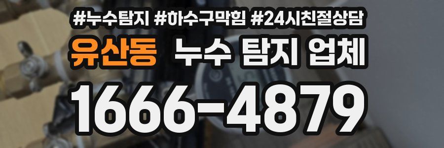 유산동 누수 탐지 업체