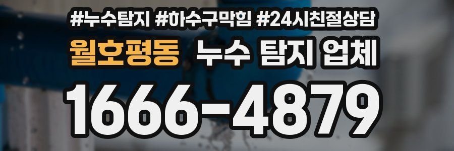 월호평동 누수 탐지 업체