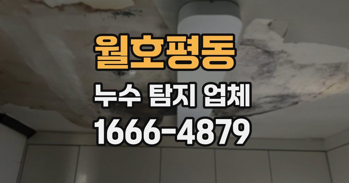 월호평동 누수 탐지 업체