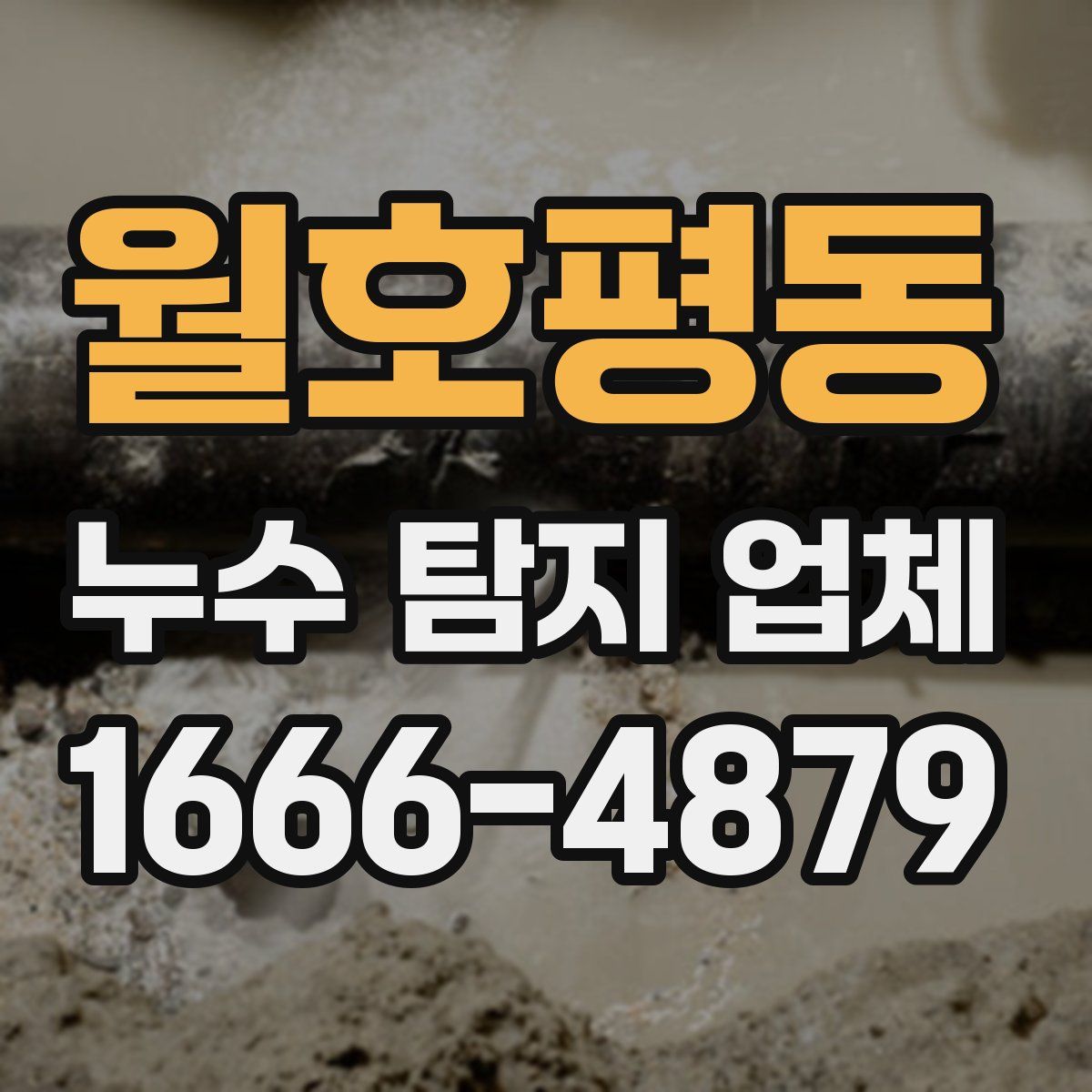 월호평동 누수 탐지 업체