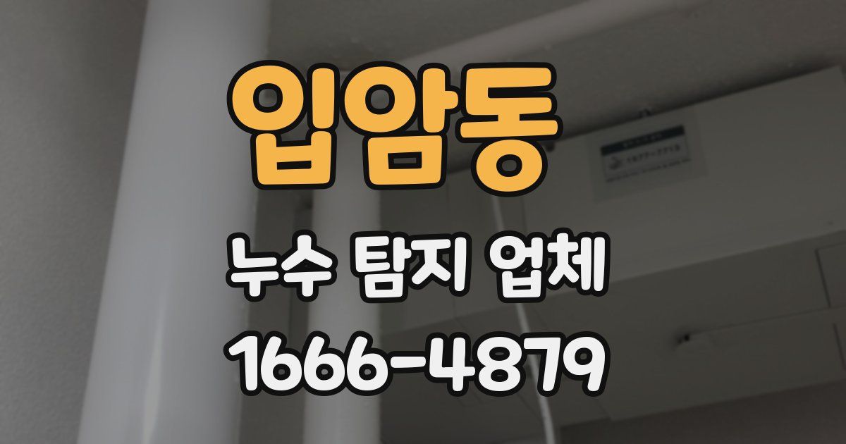 입암동 누수 탐지 업체
