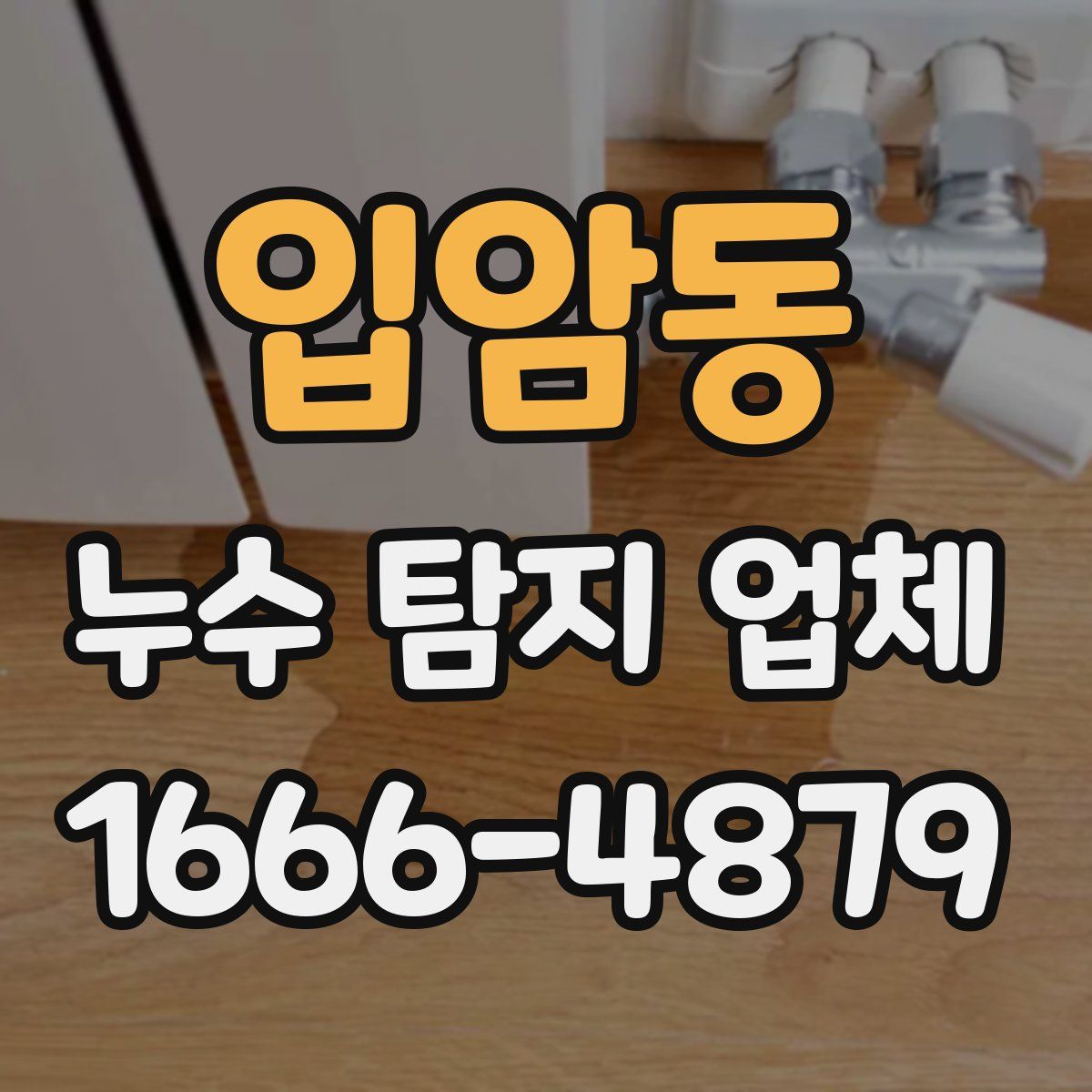 입암동 누수 탐지 업체