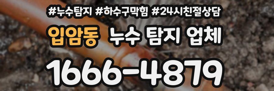 입암동 누수 탐지 업체