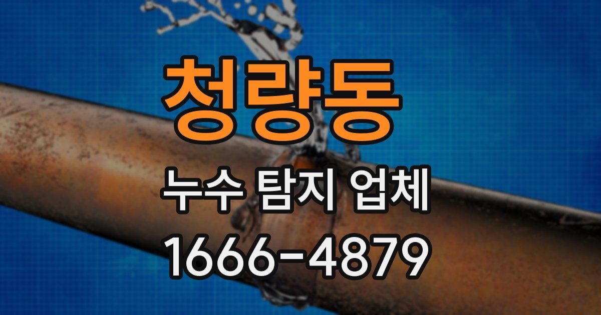 청량동 누수 탐지 업체