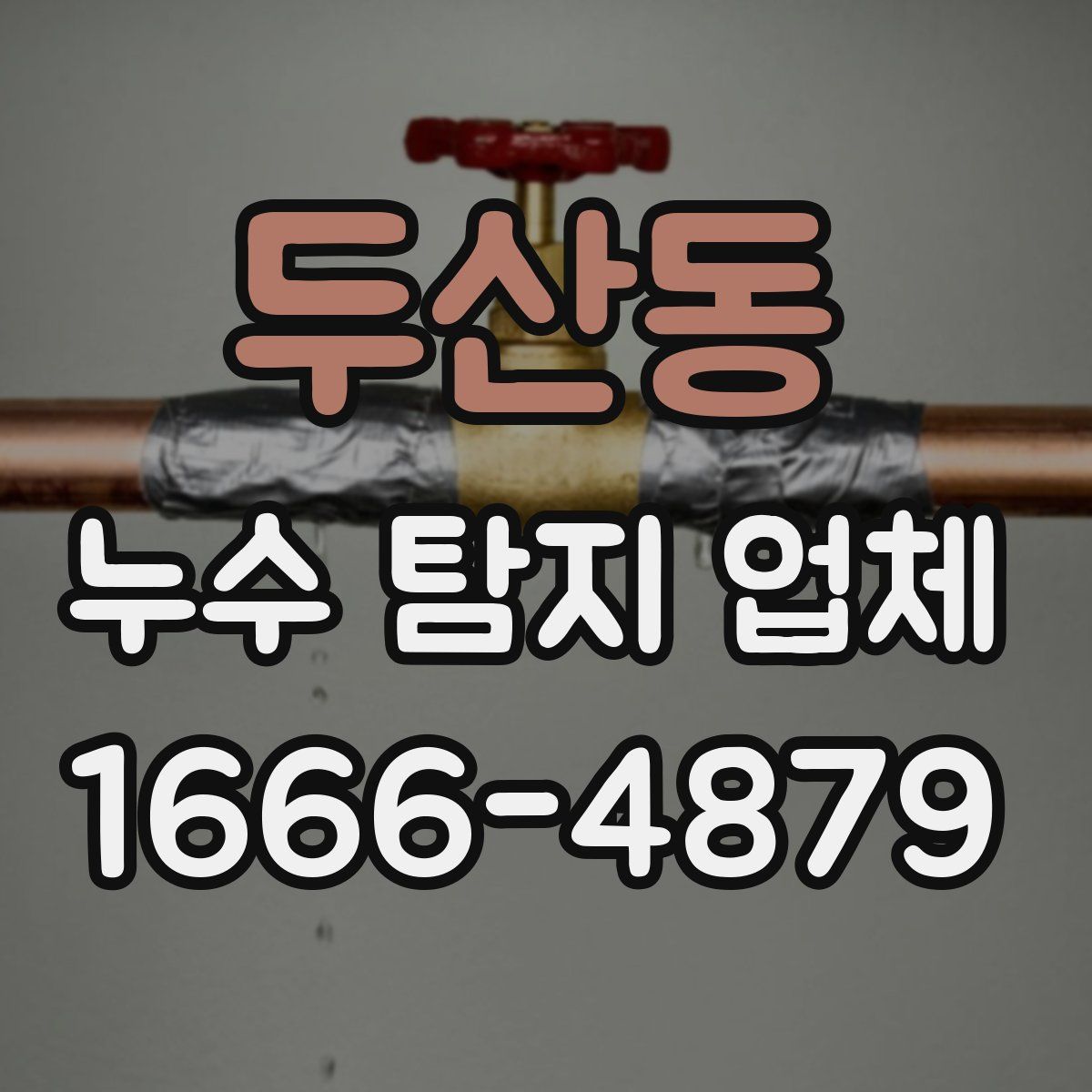두산동 누수 탐지 업체