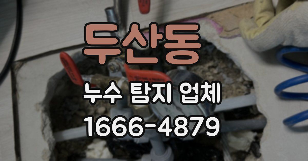 두산동 누수 탐지 업체
