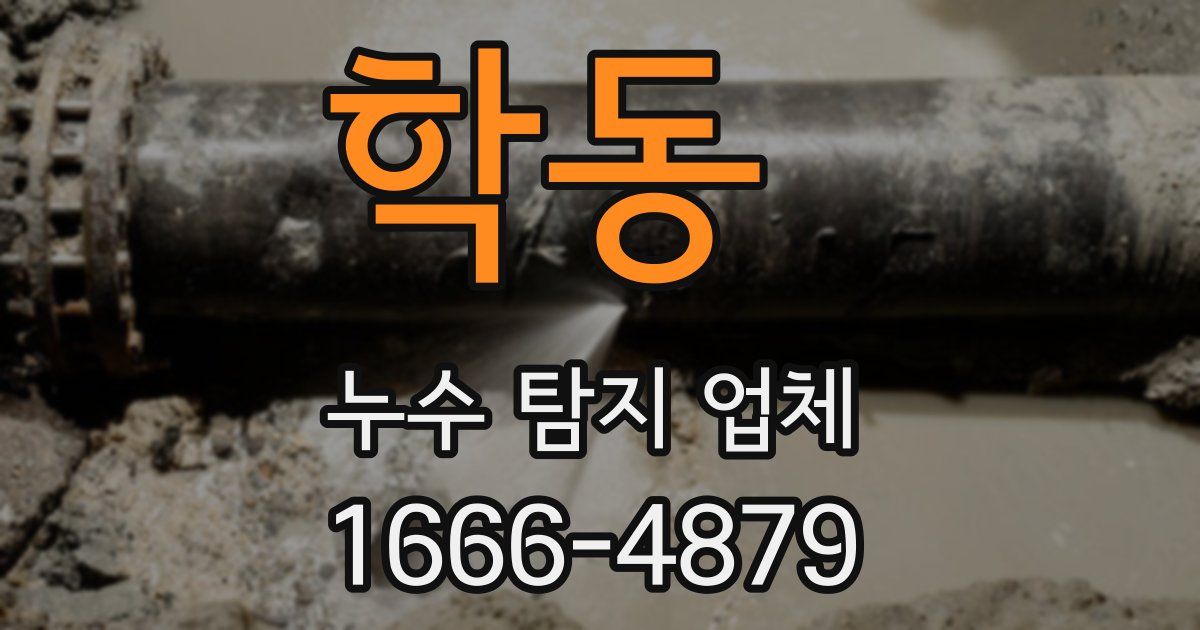 학동 누수 탐지 업체