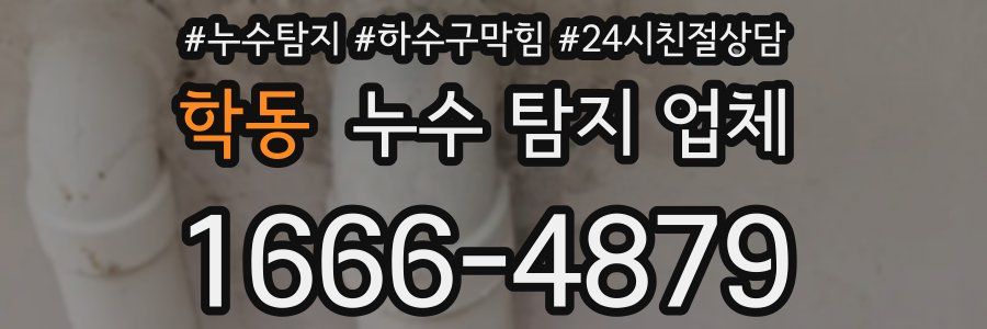 학동 누수 탐지 업체