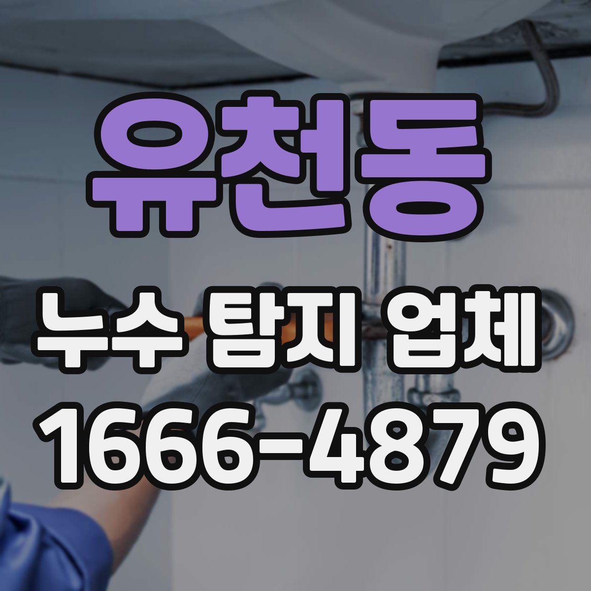 유천동 누수 탐지 업체