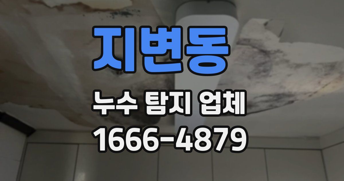 지변동 누수 탐지 업체