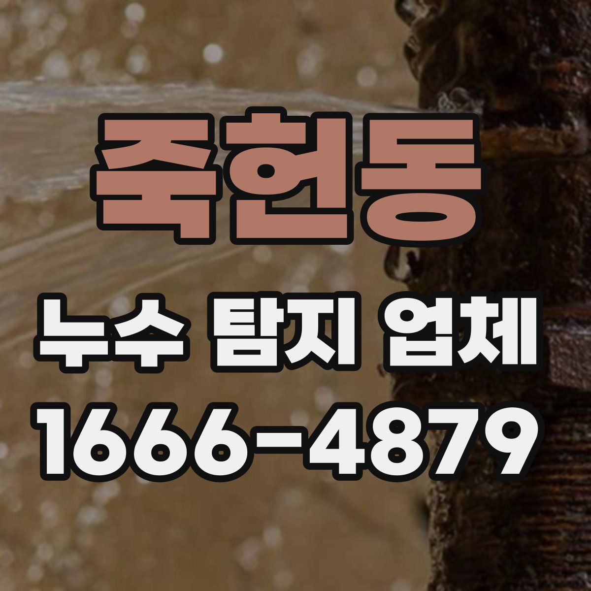 죽헌동 누수 탐지 업체