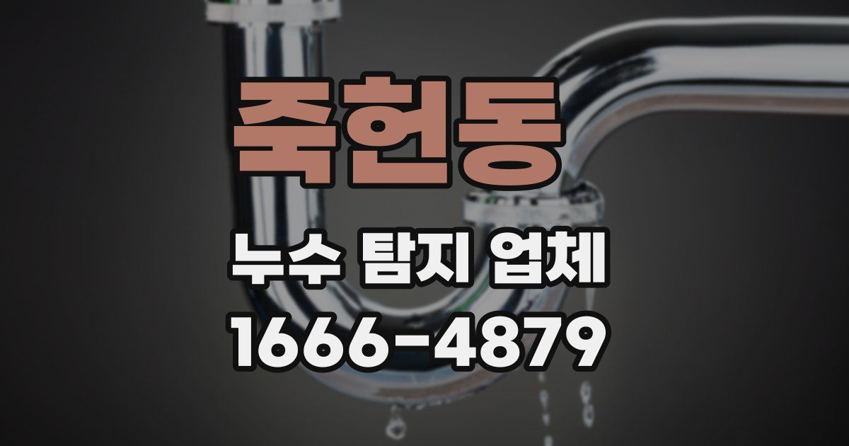 죽헌동 누수 탐지 업체