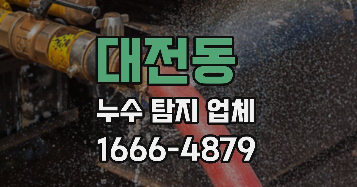 대전동 누수 탐지 업체