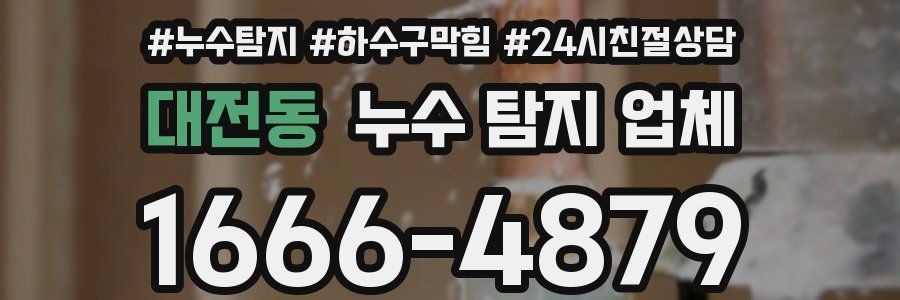 대전동 누수 탐지 업체