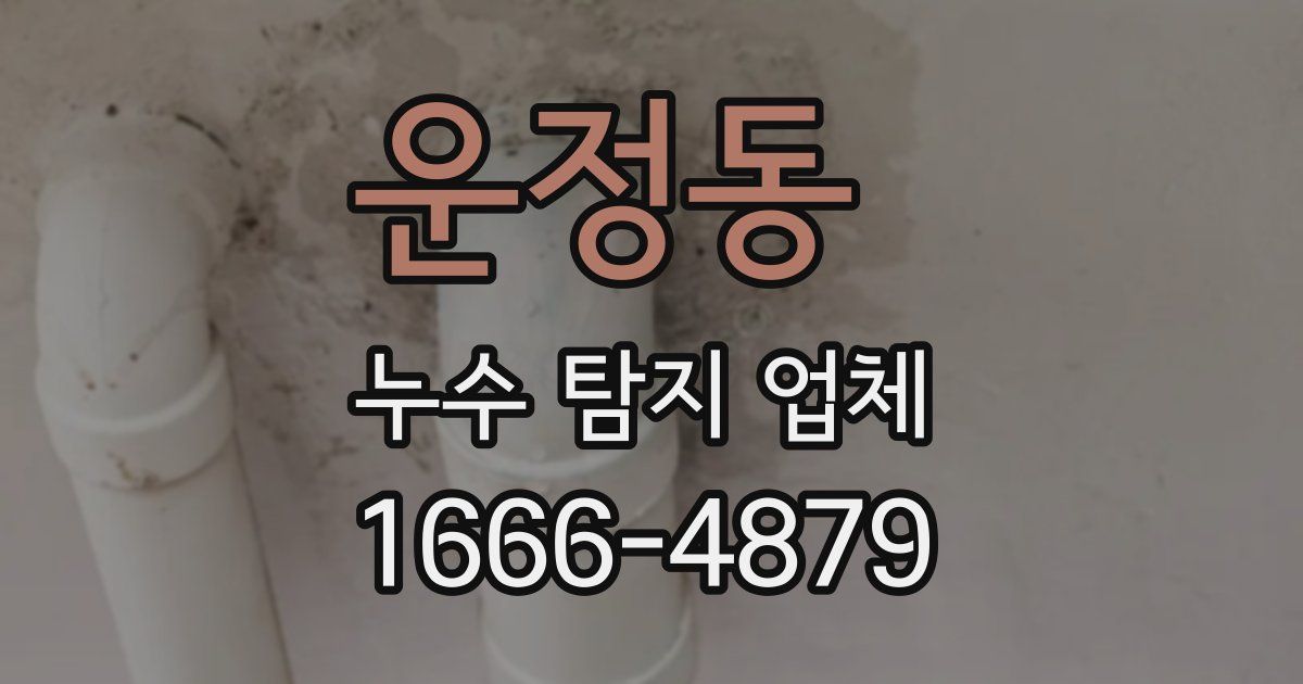 운정동 누수 탐지 업체