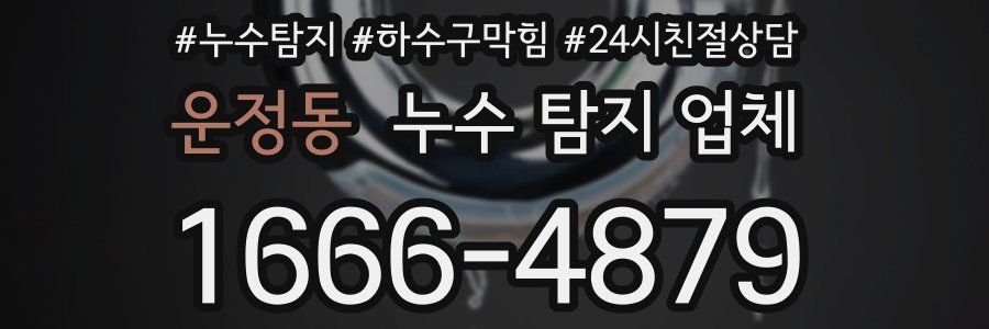 운정동 누수 탐지 업체