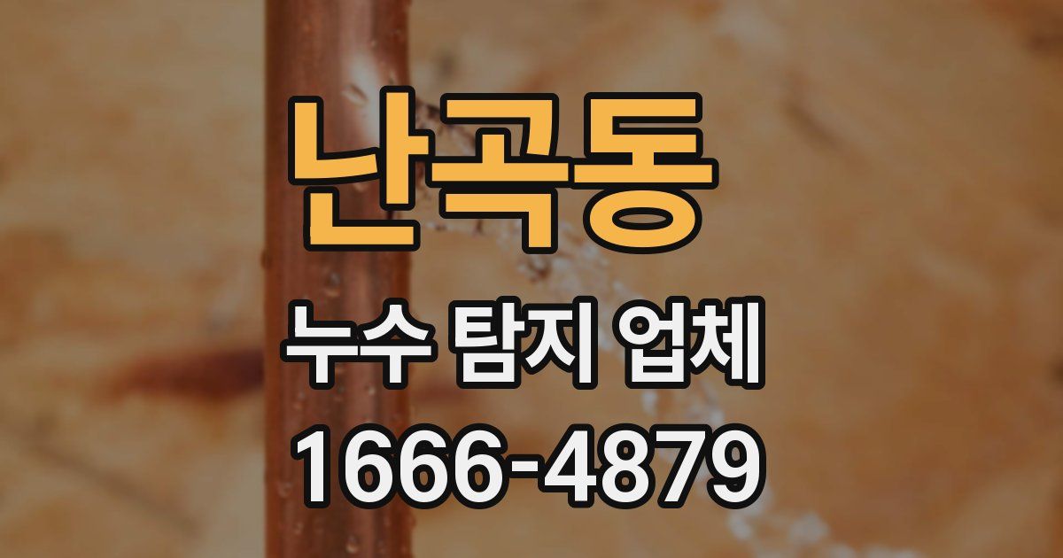 난곡동 누수 탐지 업체
