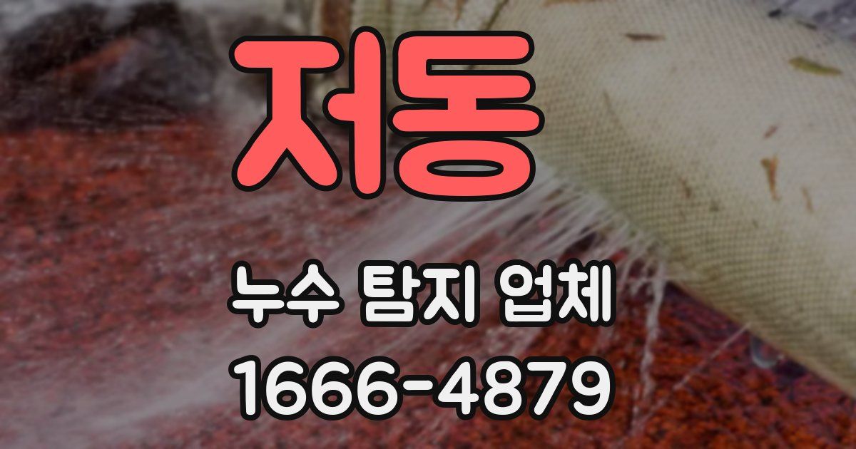 저동 누수 탐지 업체