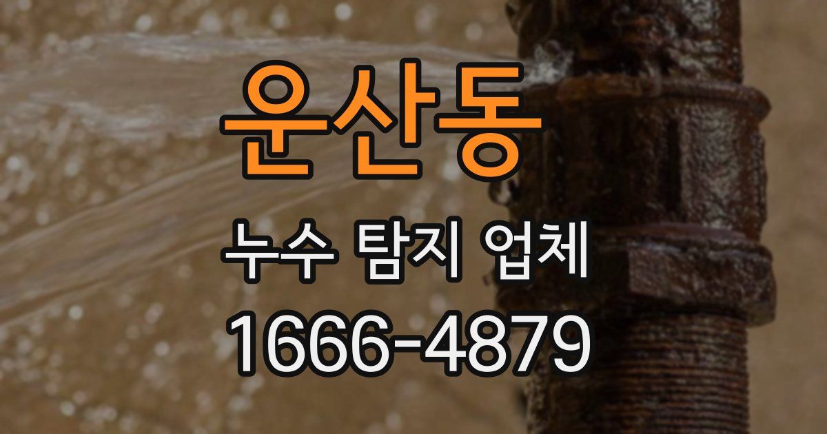 운산동 누수 탐지 업체