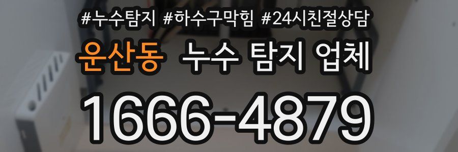 운산동 누수 탐지 업체