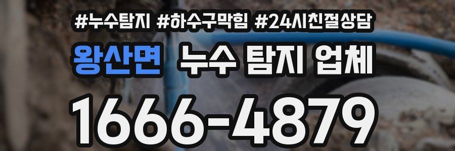 왕산면 누수 탐지 업체
