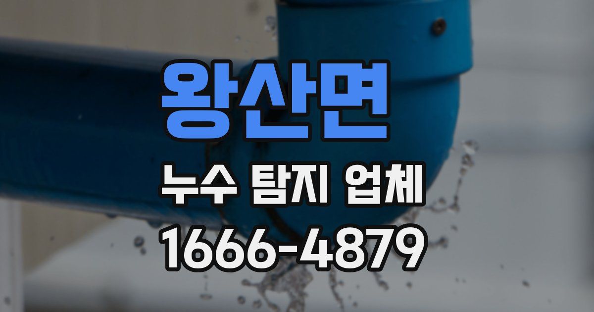 왕산면 누수 탐지 업체