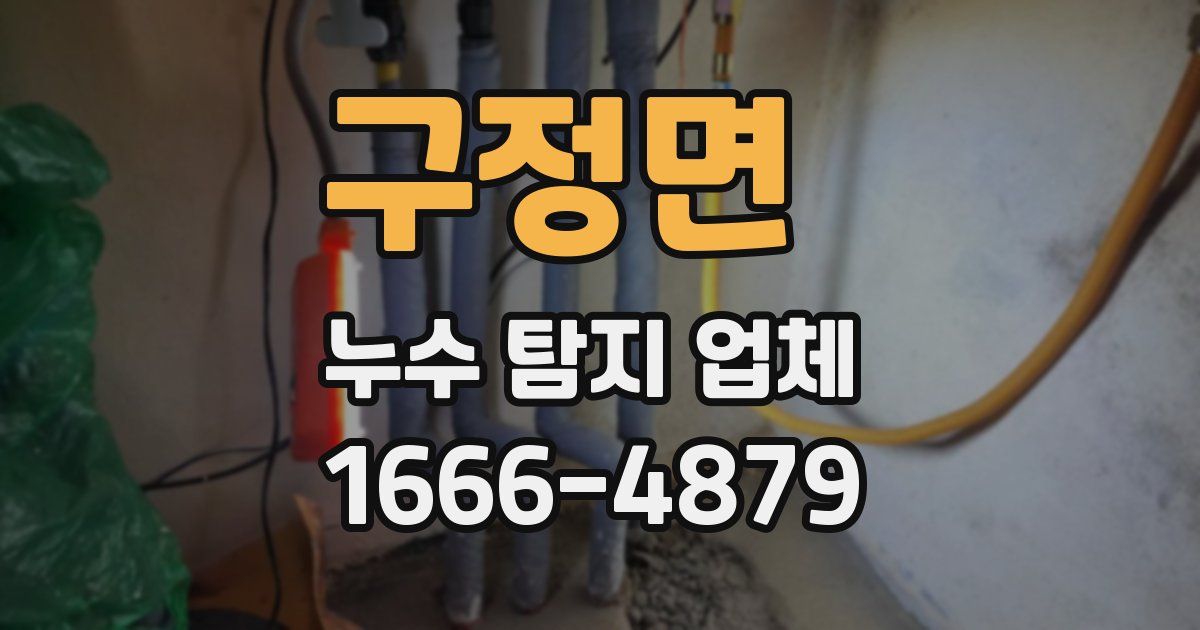 구정면 누수 탐지 업체