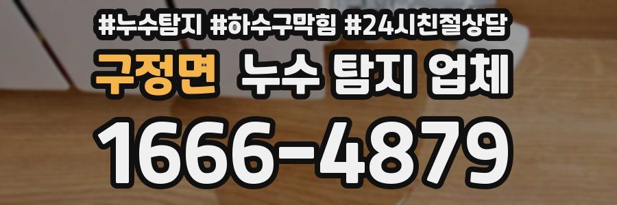 구정면 누수 탐지 업체