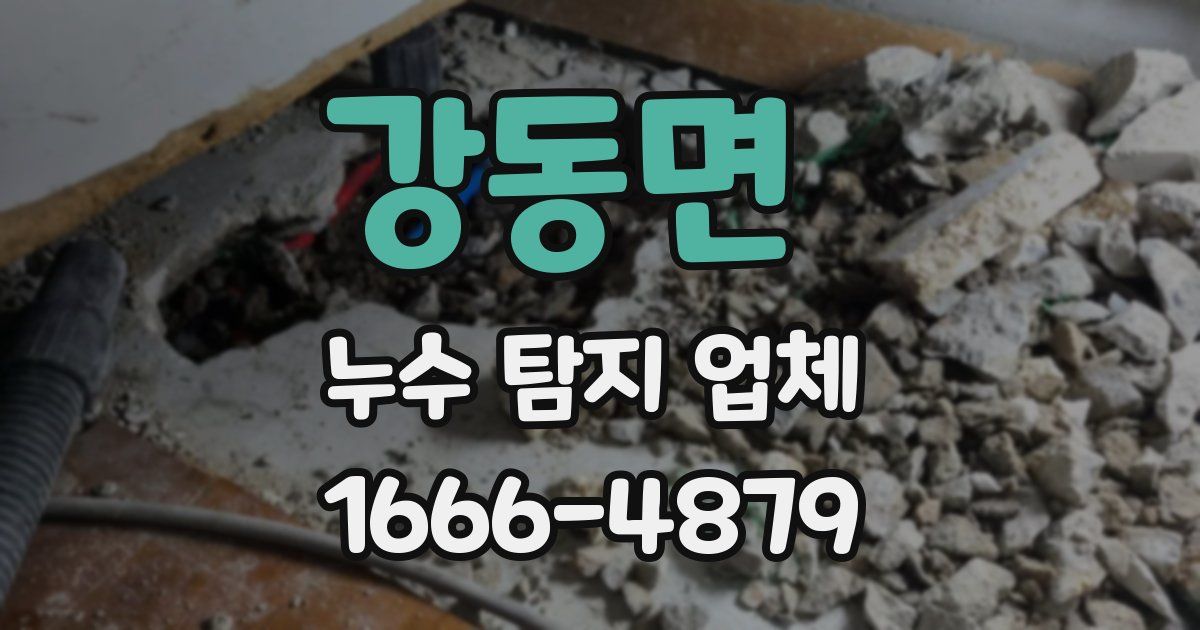 강동면 누수 탐지 업체