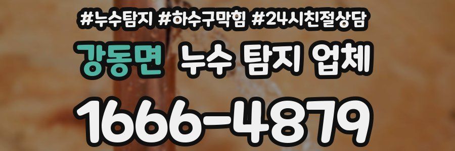 강동면 누수 탐지 업체