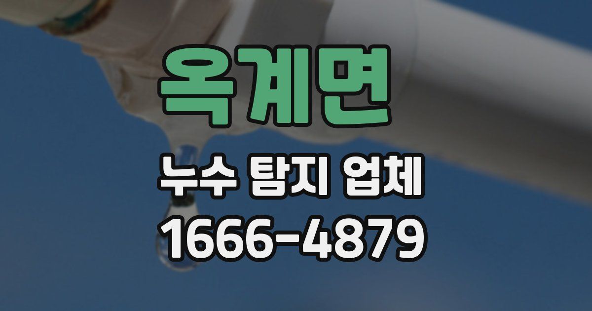 옥계면 누수 탐지 업체