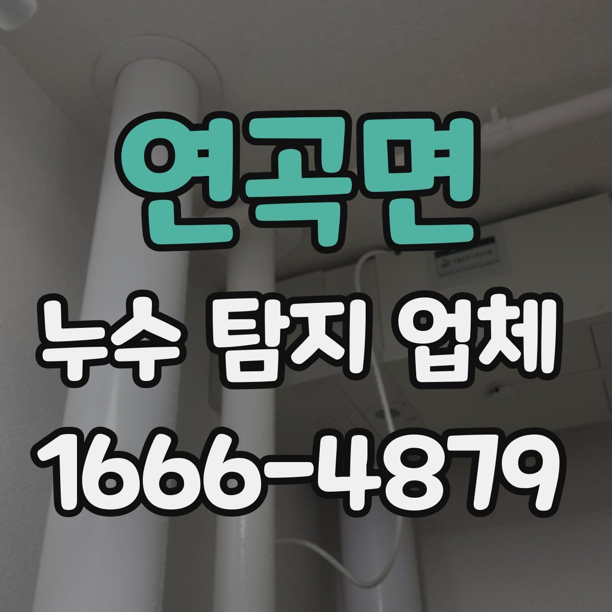 연곡면 누수 탐지 업체