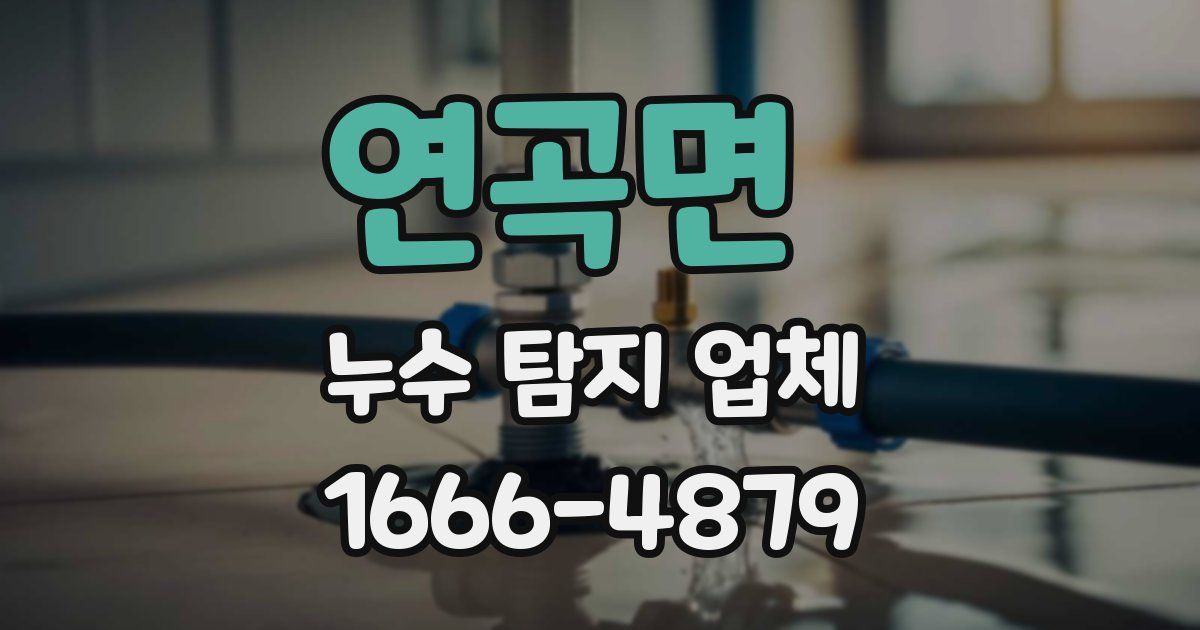 연곡면 누수 탐지 업체