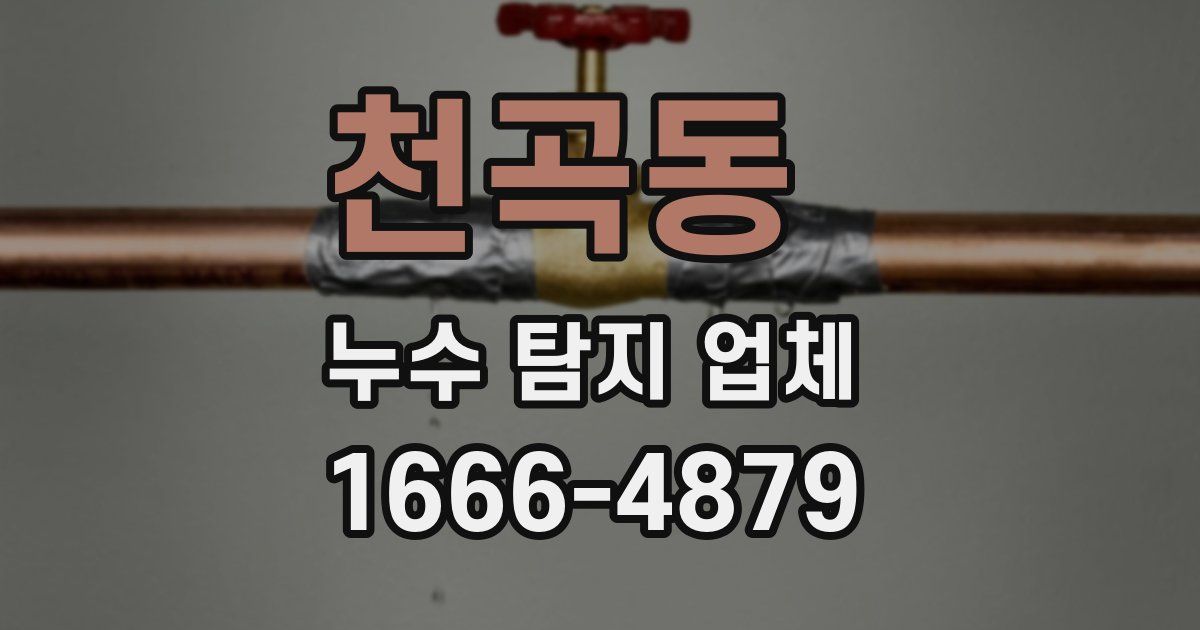 천곡동 누수 탐지 업체