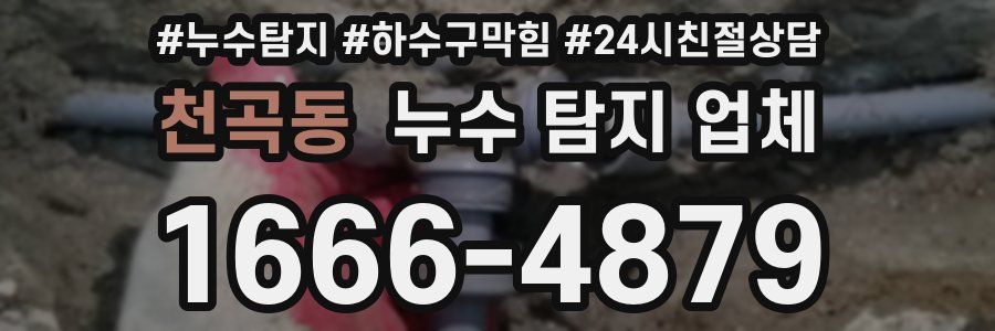 천곡동 누수 탐지 업체