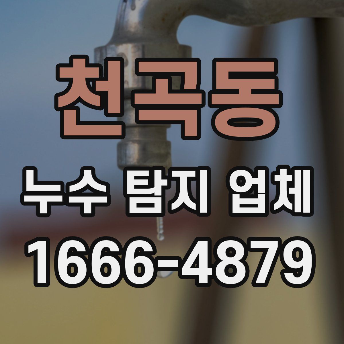 천곡동 누수 탐지 업체