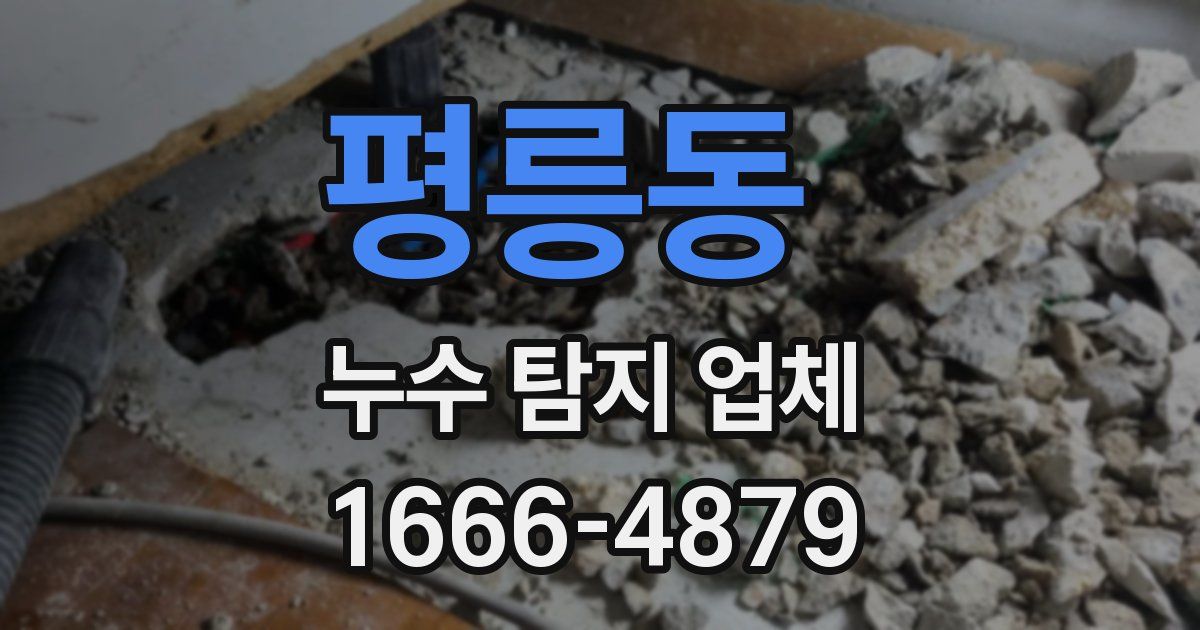 평릉동 누수 탐지 업체