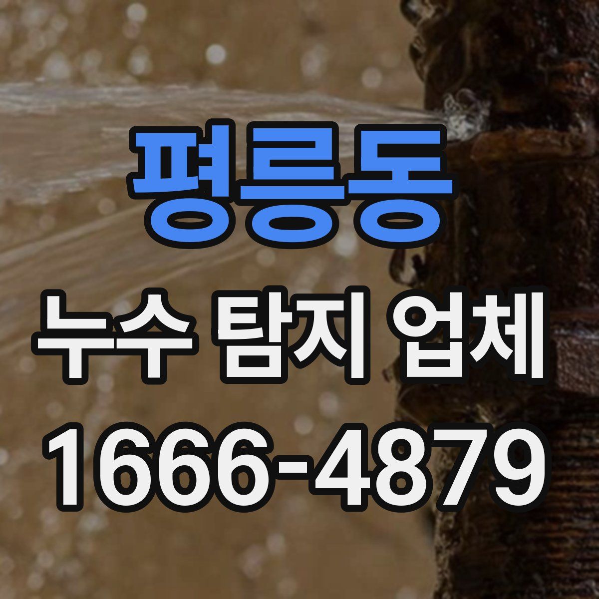평릉동 누수 탐지 업체