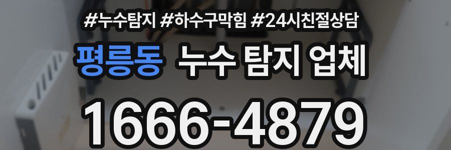평릉동 누수 탐지 업체