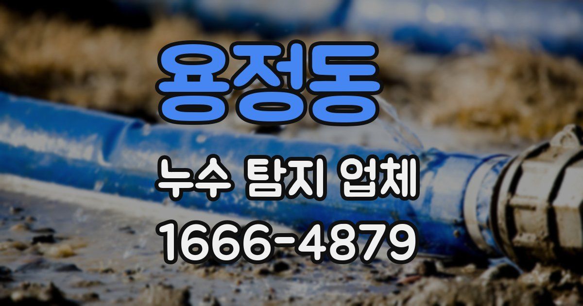 용정동 누수 탐지 업체