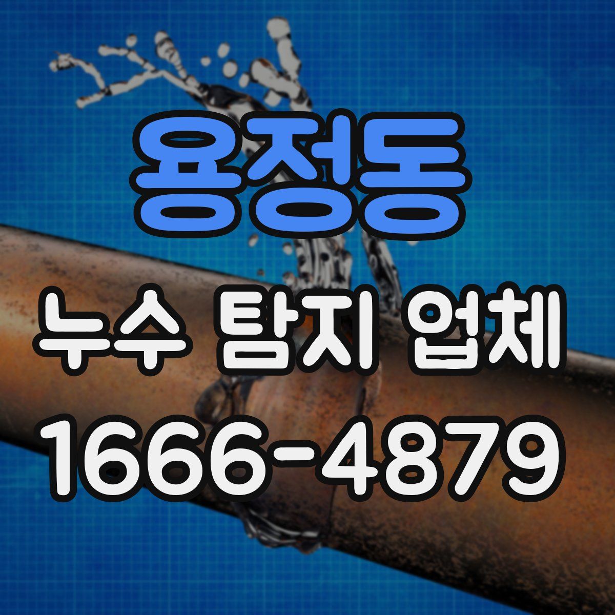 용정동 누수 탐지 업체