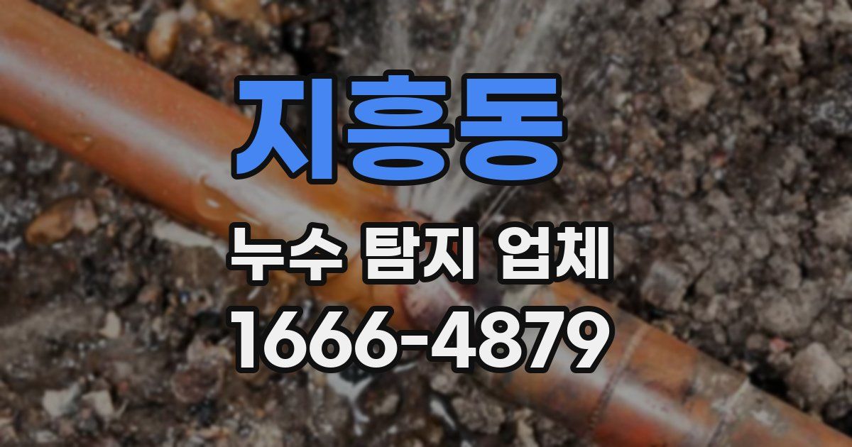지흥동 누수 탐지 업체