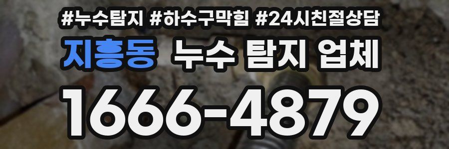 지흥동 누수 탐지 업체