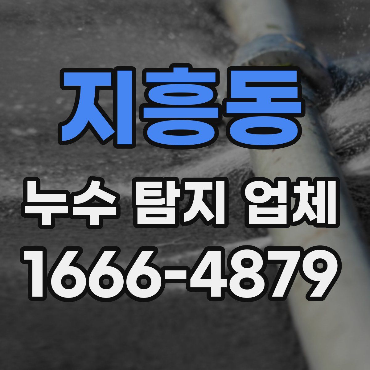지흥동 누수 탐지 업체