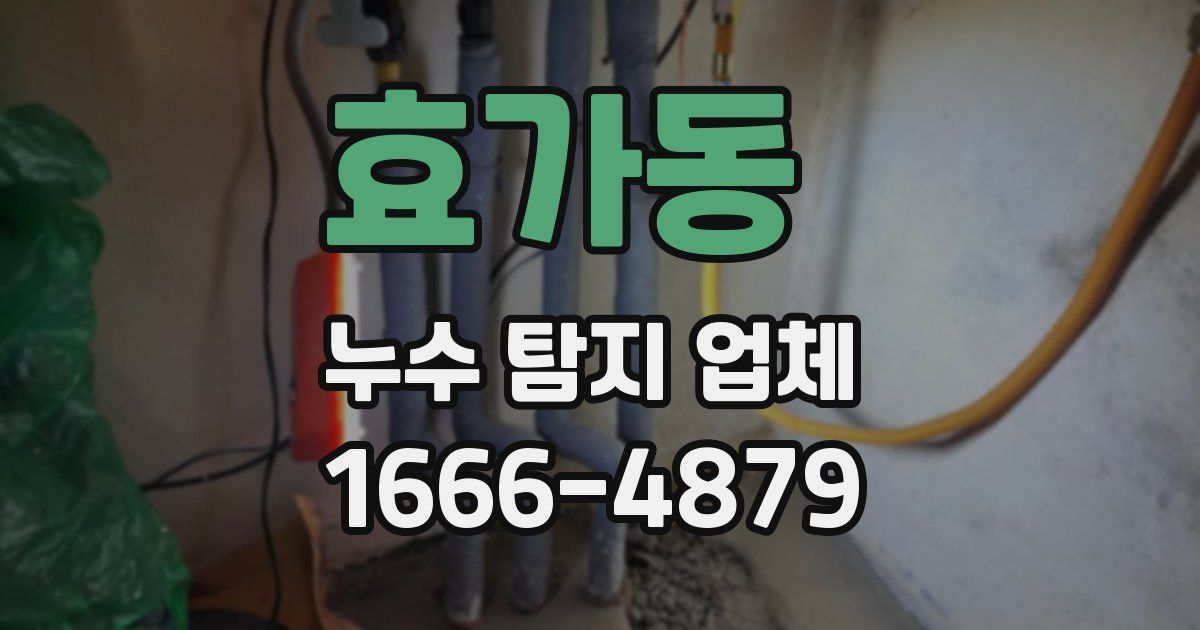 효가동 누수 탐지 업체