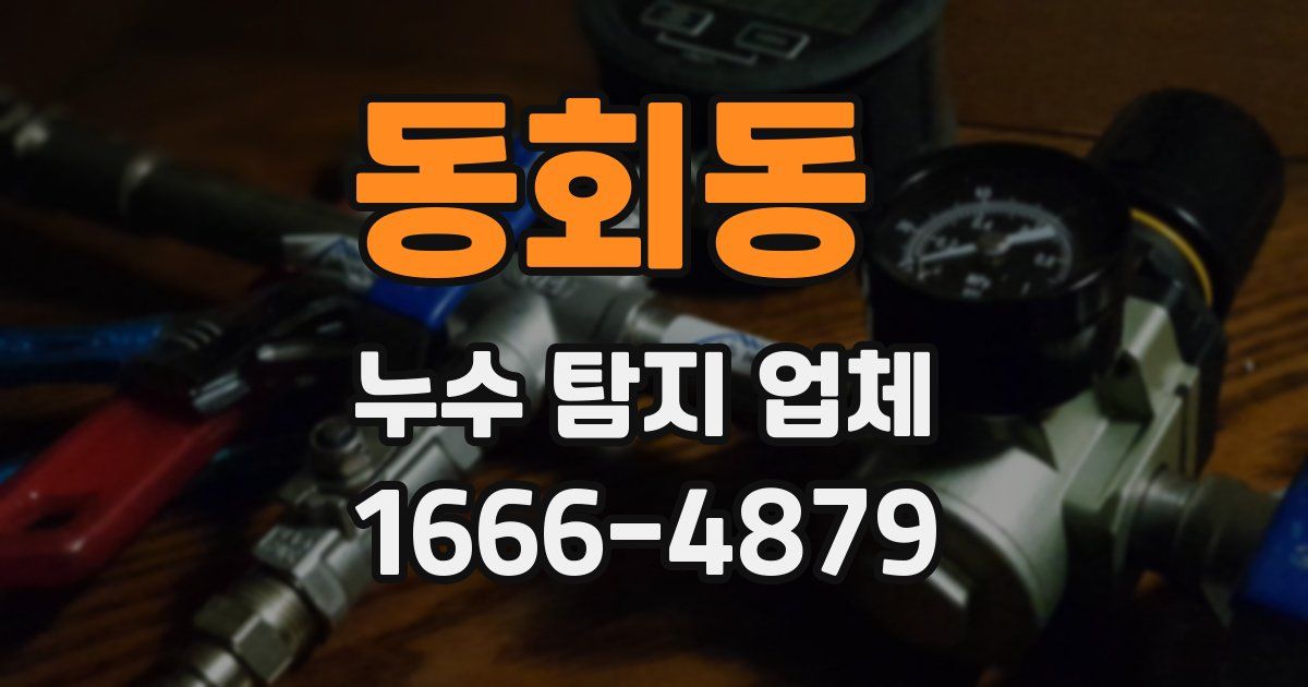 동회동 누수 탐지 업체